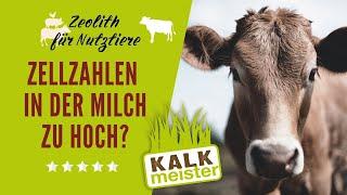 Ehrenbrandtner empfiehlt Stallfrisch Einstreu von Kalkmeister #stallhygiene #tierwohl #kalk