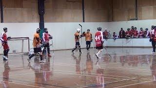 What A Goal! (Ball Hockey Goal - Matt Lisson) Ball Hockey Goals Dangles Dekes Tricks