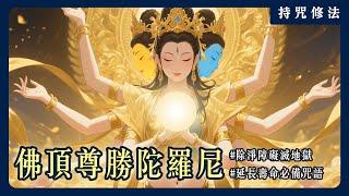 《佛頂尊勝陀羅尼》每天念誦21遍即可接受供養？藏傳佛教的長壽三尊你認識幾位？｜持咒修法系列