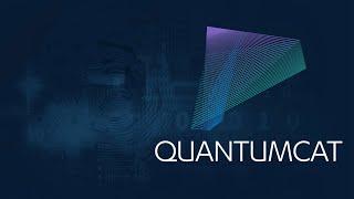 QuantumCAT: The Quantum Technologies Hub of Catalonia