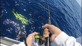 Lots Of BIG Mahi Oregon Inlet Offshore Fishing