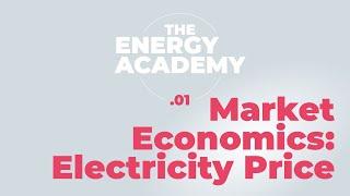 Energy market economics 101: setting the electricity price