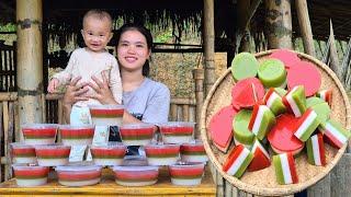 Watermelon Harvesting: Making Watermelon Jelly to Sell at the Market | Making Fresh Fruit Juice.