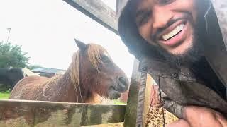 Daily vlog.. just jah.. horsing around 