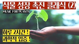 식물이 좋아하는 클래식 음악 과학적으로 입증된 2시간의 기적 Music for plants