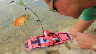 TOY Boat Catches Colorful  FISH For Baby Jaws!!