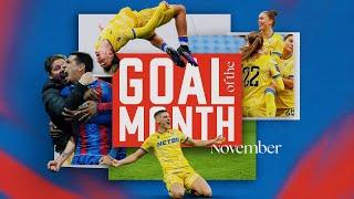 Goal of the Month contenders: November 2024