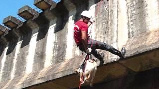 Rapelling with Police Dogs & Search and Rescue Dogs