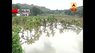 Kerala Flood: Famous for its backwater, Kozhikode farmers suffer crop loss