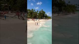 Punta Cana Vacation #shortvideo #puntacanabeach