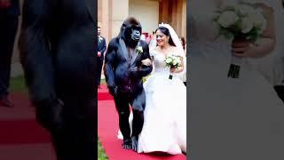 The world is in chaos, it’s in chaos, this man is married to a gorilla, we still have so many sing