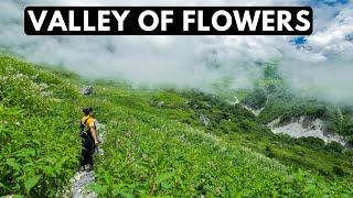 VALLEY OF FLOWERS TREK (August 2020) | Best trek in Uttarakhand | A UNESCO World Heritage Site