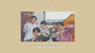 D1CE what are you doing? (디원스)