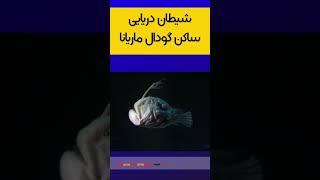 سفری به عمیق ترین نقطه زمین  #shorts