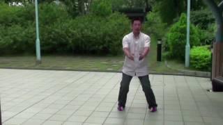 Interview with Siu Lam Wing Chun( Weng Chun )GM Sifu Sunny So by Sifu Sergio