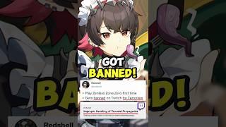 Huge Streamer BANNED After Playing Zenless for the FIRST TIME!