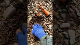 Treasure Hunt in the Magic River with metal detector #shorts #metaldetecting #treasure