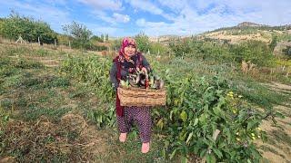 KIŞ HAZIRLIĞI | BAHÇEDEN DONDURUCUYA KARNI YARIK İÇİN KIŞA PATLICAN NASIL SAKLANIR?