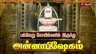 அன்னாபிஷேகம் பல்வேறு கோயில்களில் இருந்து | Annabishekam 2024 | Jothitv