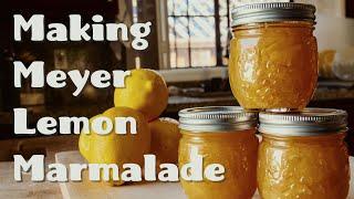 Making Meyer Lemon Marmalade