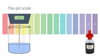 The pH Scale and Neutralisation