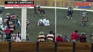 SERIE DE CAMPEONES/ RODEO INTER-ASOCIACIONES / CLUN OSORNO CANCURA /ASOCIACION OSORNO.