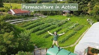 Permaculture in Action | The 12 Principles Demonstrated