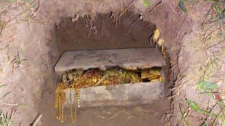 I Found 4000 Year Old Treasure Underground in Egypt