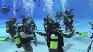 Discover Scuba with Oceandivers