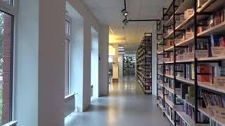 Video Inside A Library (No copyright video footage clip) For VLOG and Video Editing