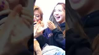 When Nayeon and Jeongyeon hate kisses from each other 