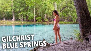 Florida's NEWEST State Park!  GILCHRIST BLUE SPRINGS