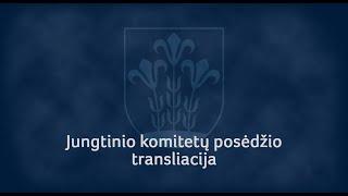 Jungtinis komitetų posėdis, 2024-11-14