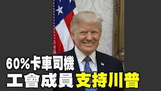 【港新聞】民調：60%卡車司機工會成員支持川普！（主播：May | 粵語 | 中文字幕）