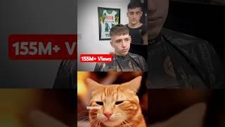 BARBER IN OHIO  #cat #memes #funny