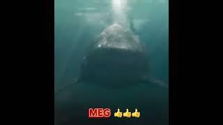 Bad Shark Movies VS Good Shark Movies #shark#jaws#shorts#themeg