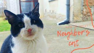 How to treat a neighbor's CAT