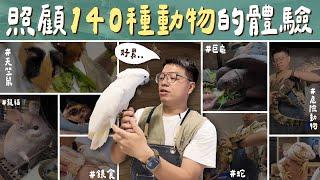 我家有個小動物園？！養140隻動物的日常就是這樣，想餵奶都困難重重...Living with 140 Animals l 蝌蚪老師與三桃