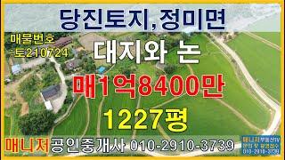 (토210724)당진토지매매,정미면 대지와 논 1227평(1억8400만)