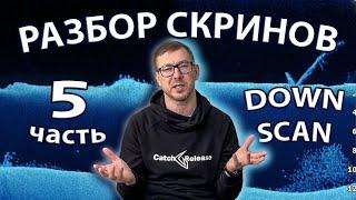 Разбор скринов. Часть 5. DownScan. Судак, щука, бель…