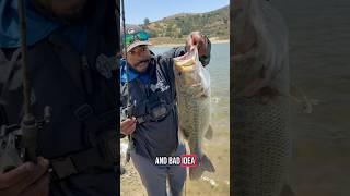 SoCal Bass Fishing  #kastkingkestrel #kestrelfinesse #kestrelbfs #kestrelultralight #shorts #fishing