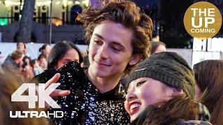 Timothee Chalamet arrival and fans interaction at The King premiere London Film Festival