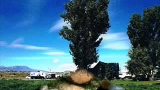 The Benefits of Getting Tree Removal in Brigham City Utah