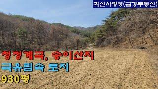 493. 괴산군 청청면. 물 맑은 작은 계곡을 앞두고 있는 국유림속 토지 930평. 괴산사랑방, 괴산부동산, 괴산토지, 괴산전원주택지, 괴산전원주택, 금강부동산.