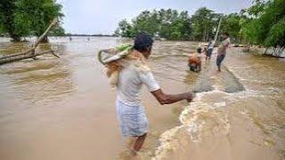 Karimganj Assam Flood || Recent Flood Affected Karimganj District Footage