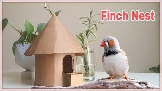 DIY How to make a bird house using cardboard | bird breeding box |cardboard hut making