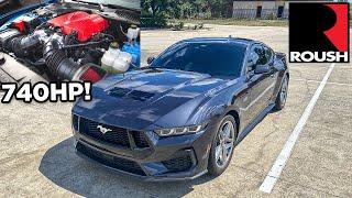 ROUSH VS WHIPPLE! NEW 740HP 2024 Roush Mustang Phase 1 Supercharger Kit | Best S650 Supercharger?