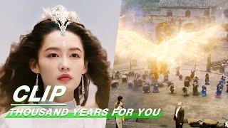 Deng Deng Successfully Saves Lu Yan | Thousand Years For You EP22 | 请君 | iQIYI