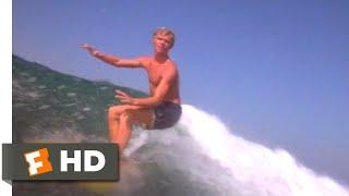 Big Wednesday (1978) - Summer Surfing Scene (2/10) | Movieclips