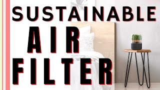 Sustainable and Natural Air Filter | Briiv Review | 3,043 Times Stronger Than a Houseplant!